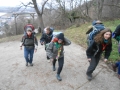 DSCN5549